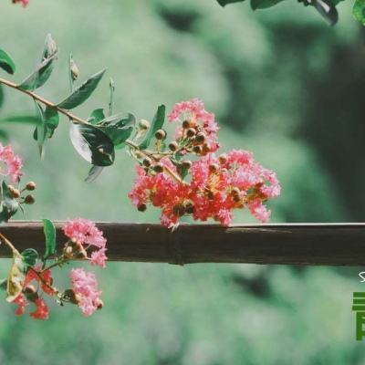 开元ky888棋牌开元登录