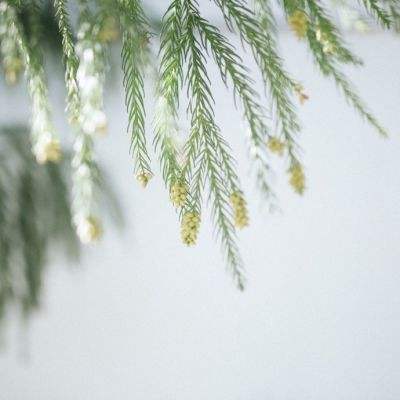 皇冠正规娱乐平台截图