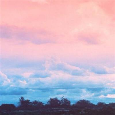 500购彩登录大厅截图