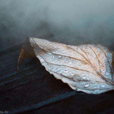 bob体育APP下载链接截图