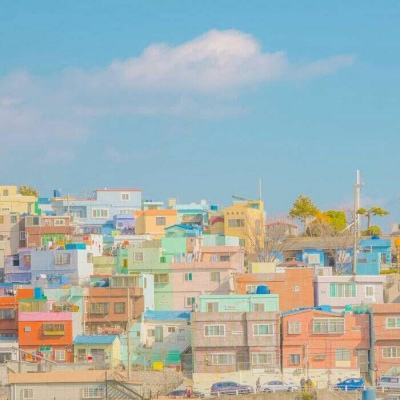 大发黄金版app下载下载手机版